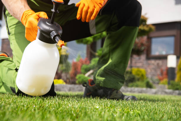 Professional Pest Control in Clear Lake Shores, TX