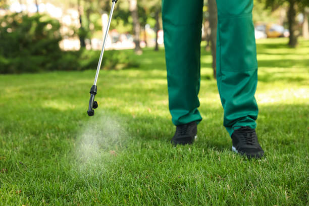 Flea Control Services in Clear Lake Shores, TX