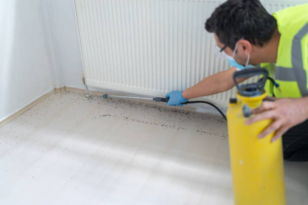 Best Pest Prevention Services  in Clear Lake Shores, TX